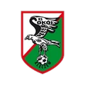 Сокол Клечев