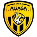 Алиага Футбол