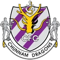 Jeonnam Dragons